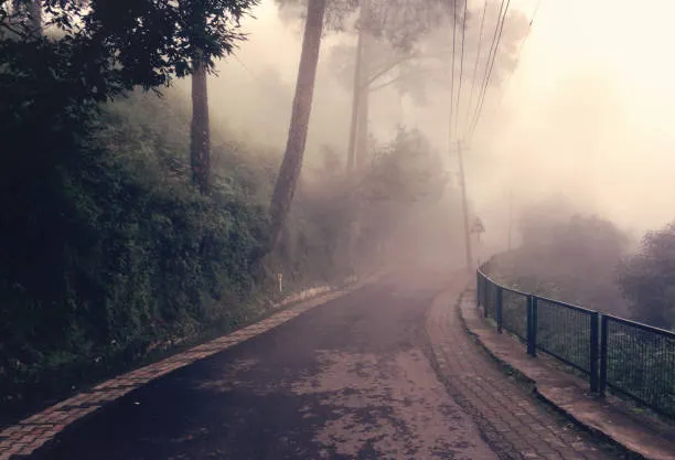 Kasauli